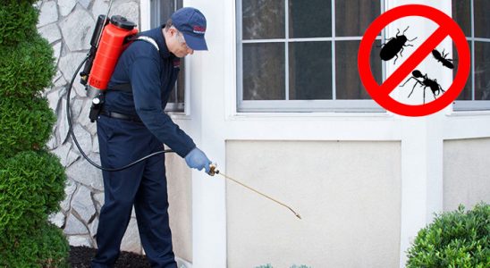 Gölyaka Hamam Böceği İlaçlama böcek ilaçlama ve haşere kontrolü — ilaclama-tr.com